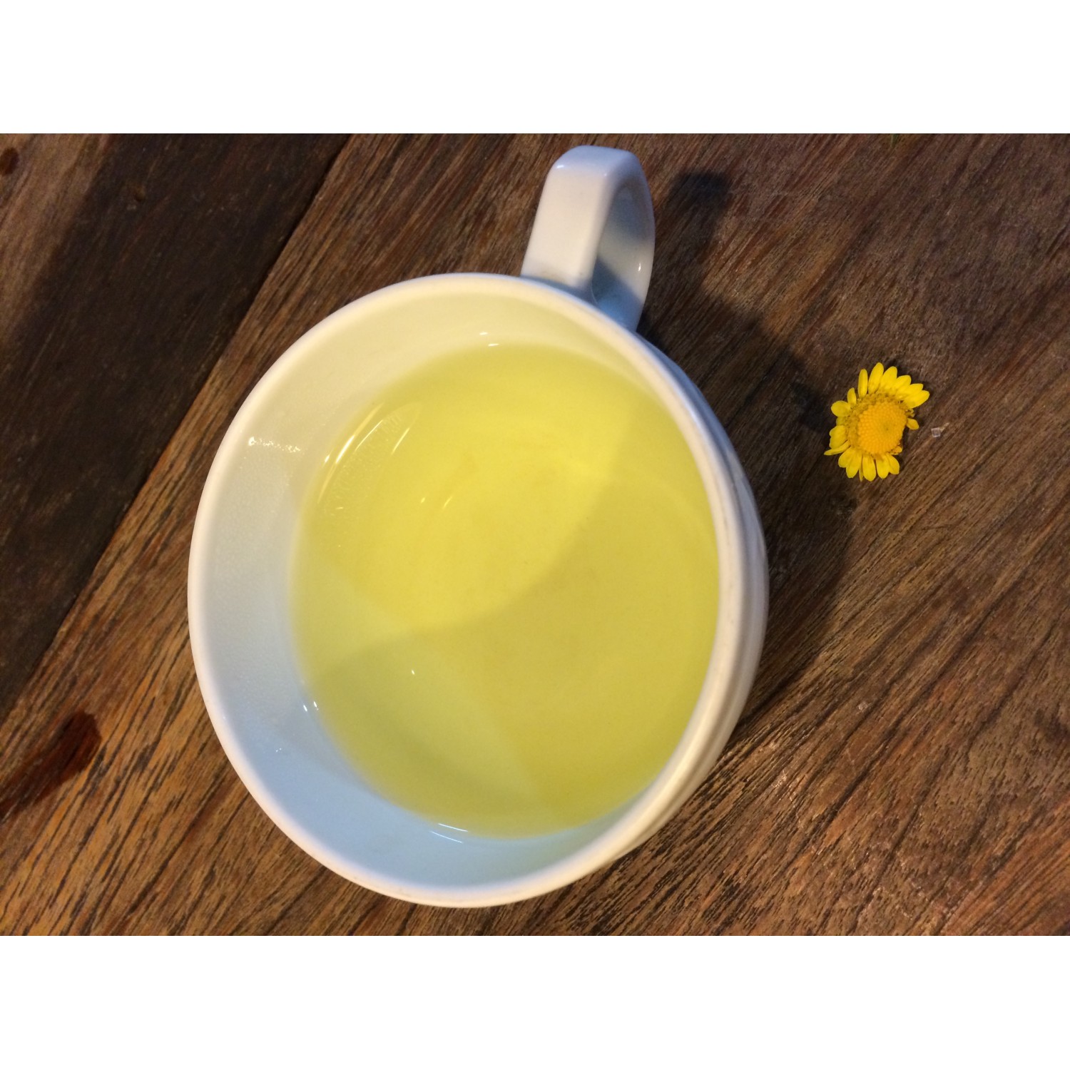 Wild Chrysanthemum Tea
